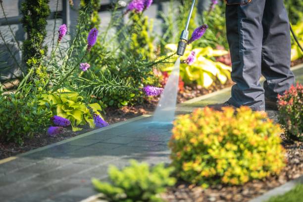 Best Boat and Dock Cleaning  in Kingston, PA